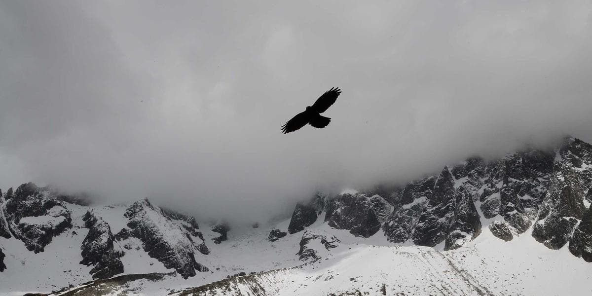 The Future of AI Content Orchestration