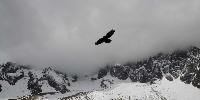 The Future of AI Content Orchestration